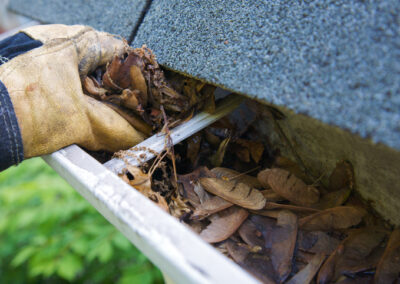 Fall Cleanup - Leaves in Gutter (XL)